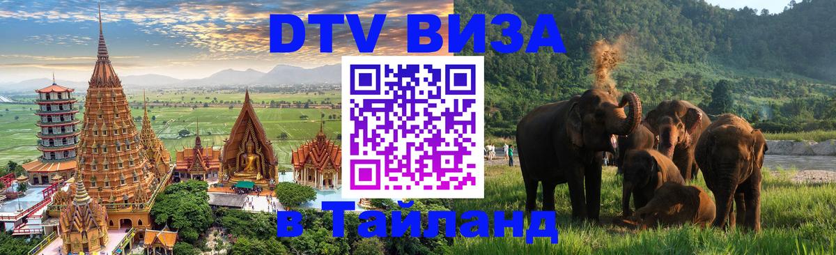 Сколько стоит DTV виза — актуальные цены, оформление даже без документов - 